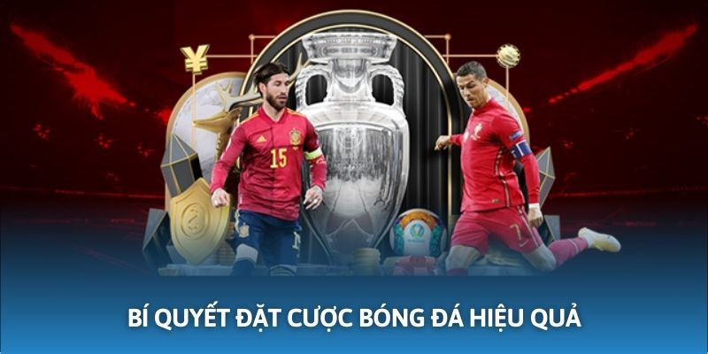 Hội viên có thể mang về chiến thắng với các bí quyết cược bóng đá