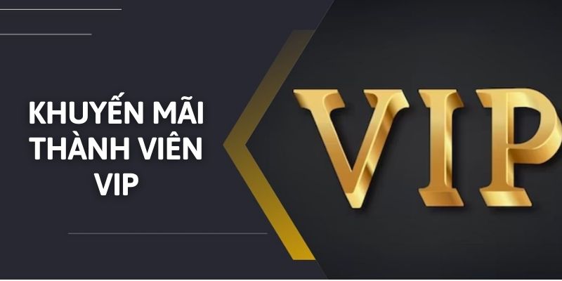 Trở thành hội viên VIP nhận khuyến mãi hấp dẫn tại WIN777